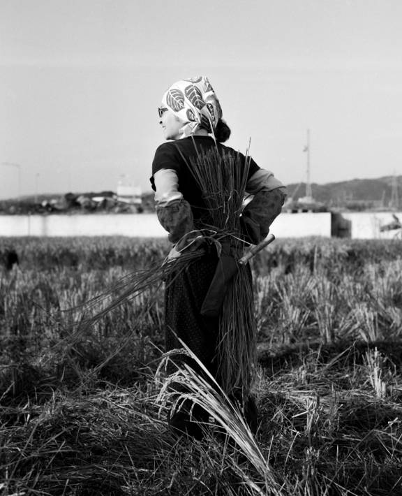 Tess Ayano, Personal, Japan